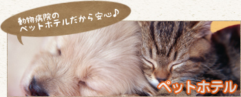 ペットホテル
